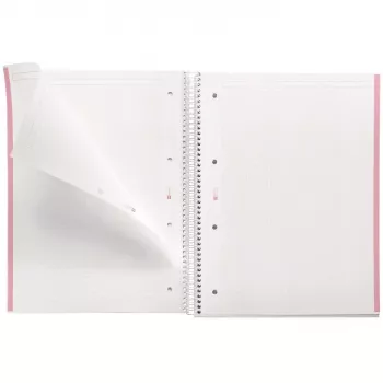 Quaderno MAUL A460522 A4 80 fogli rosa