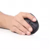 Gembird MUSW-ERGO-01 Mouse per destrorsi RF Wireless Ottico 1600 DPI