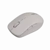 Canyon mouse MW-12 dualband wireless beige - mouse - 2.400 dpi (CNS-CMSW12BG)