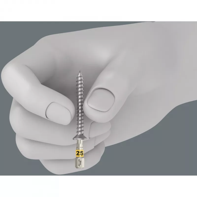 Wera Bit-Check 12 Wood TORX HF 1 set di inserti, 12 pz.