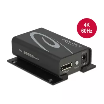 Switch video DeLOCK 87697