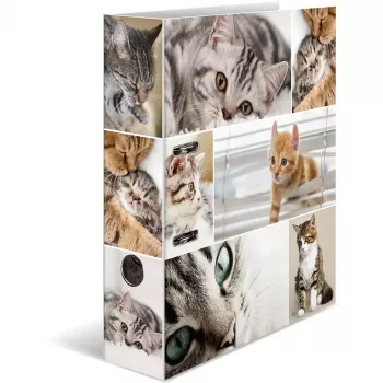 Raccoglitore ad anelli HERMA 7166 multicolore
