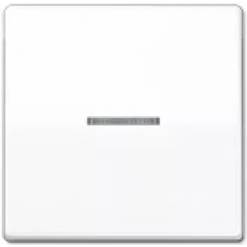 Jung AS 591 KO5BFS WW Interruttore a bilanciere per interruttore di controllo, bianco