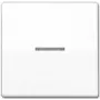 Jung AS 591 KO5BFS WW Interruttore a bilanciere per interruttore di controllo, bianco