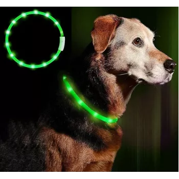 Collare LED Anicoll verde per cani e gatti modello illuminazione ricaricabile