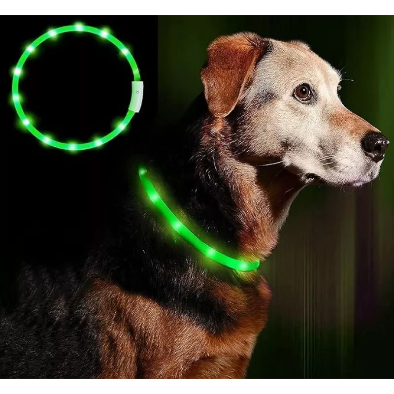 Collare LED Anicoll verde per cani e gatti modello illuminazione ricaricabile