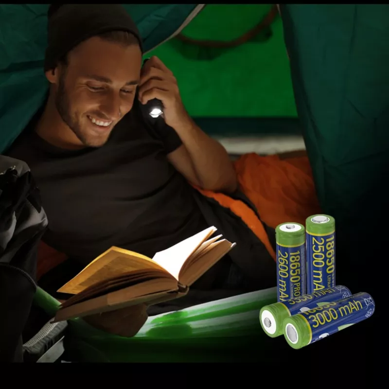 Batteria ricaricabile GEMBIRD Li-Ion tipo 18650 10C 3000mAh