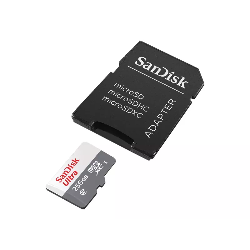 Memoria flash SanDisk 256 GB MicroSDXC UHS-I SDSQUNR-256G-GN6TA