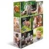 HERMA 19252 raccoglitore ad anelli A4 multicolore con anelli a D