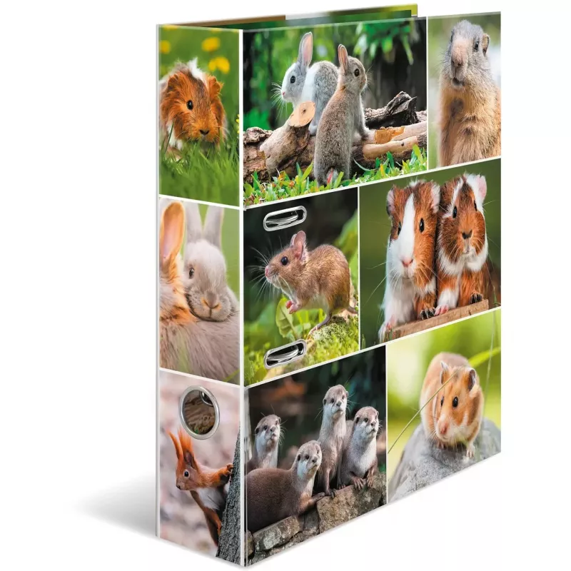 HERMA 19252 raccoglitore ad anelli A4 multicolore con anelli a D