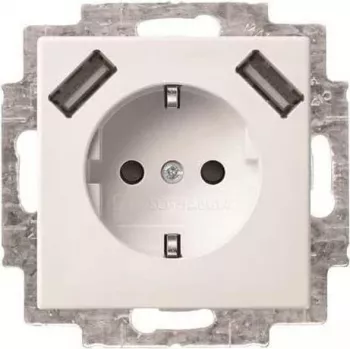 Busch-Jaeger presa SCHUKO 2 vie USB 20 EUCB2USB-914 (2CKA002011A6266)