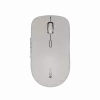 Canyon mouse MW-12 dualband wireless beige - mouse - 2.400 dpi (CNS-CMSW12BG)