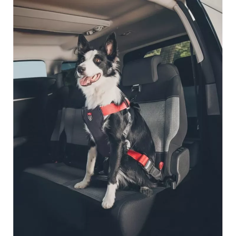 Pettorina per cani ZOLUX TRAVEL SAFE M, taglia M, rosso
