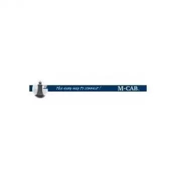 Mcab batteria alcalina Mignon 4 x AA LR6 (7002003)