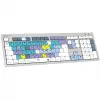 Logickeyboard LKB-RESC-CWMU-UK tastiera Office USB QWERTY inglese