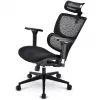 Sedia da ufficio Sharkoon OfficePal C40 — nero, design ergonomico, regolabile in altezza