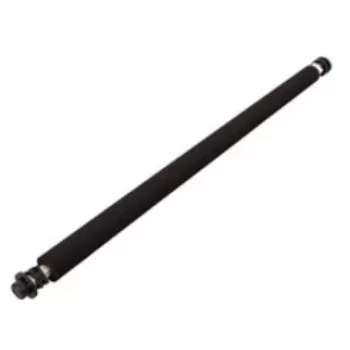 Ricoh B0393820 rullo ricambio/accessorio per stampante/scanner