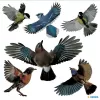 Adesivo decorativo HERMA 15539 pellicola multicolore rimovibile uccello