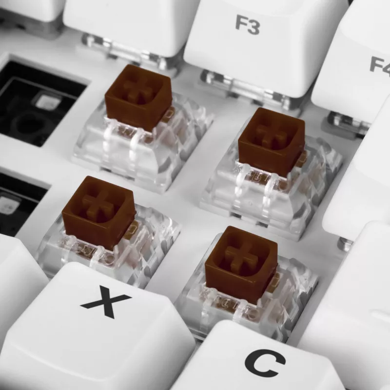 Kailh Box Brown set di switch, interruttori marrone/trasparente, 35 pezzi