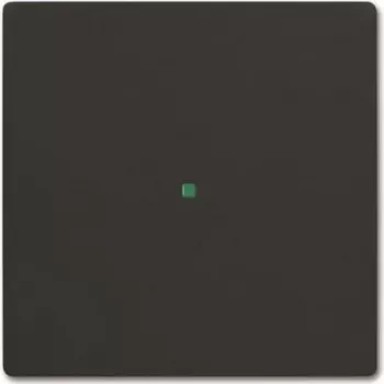 BUSCH JAEGER Placca 6230-10-885 Singola nero opaco