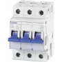 Interruttore automatico magnetotermico DLS 6H C13-3 6 kA (09914292)