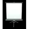 Schermo per proiezione con treppiede Elite Screens T113NWS1 2,87 m 1:1