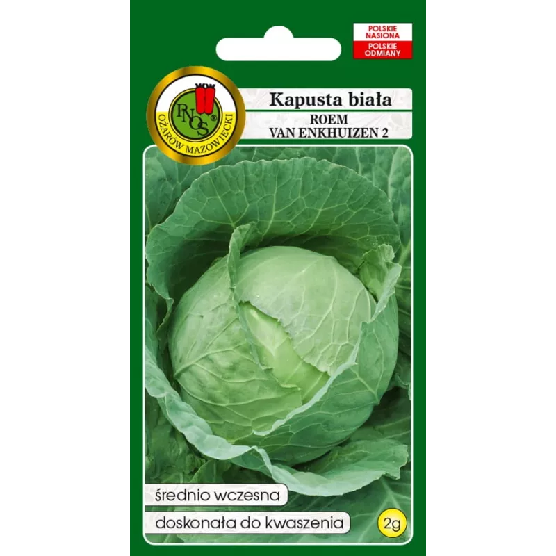 PNOS cavolo bianco Roem Van Enkhuizen 2 semi di ortaggi, 2 g