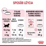 Royal Canin Kitten cibo secco per gatti 2 kg