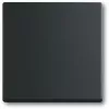 Interruttore luce Busch-Jaeger 1751-0-3041, custodia in plastica, nero, a pulsante, 63×63 mm