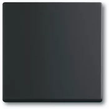 Interruttore luce Busch-Jaeger 1751-0-3041, custodia in plastica, nero, a pulsante, 63×63 mm