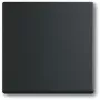 Interruttore luce Busch-Jaeger 1751-0-3041, custodia in plastica, nero, a pulsante, 63×63 mm