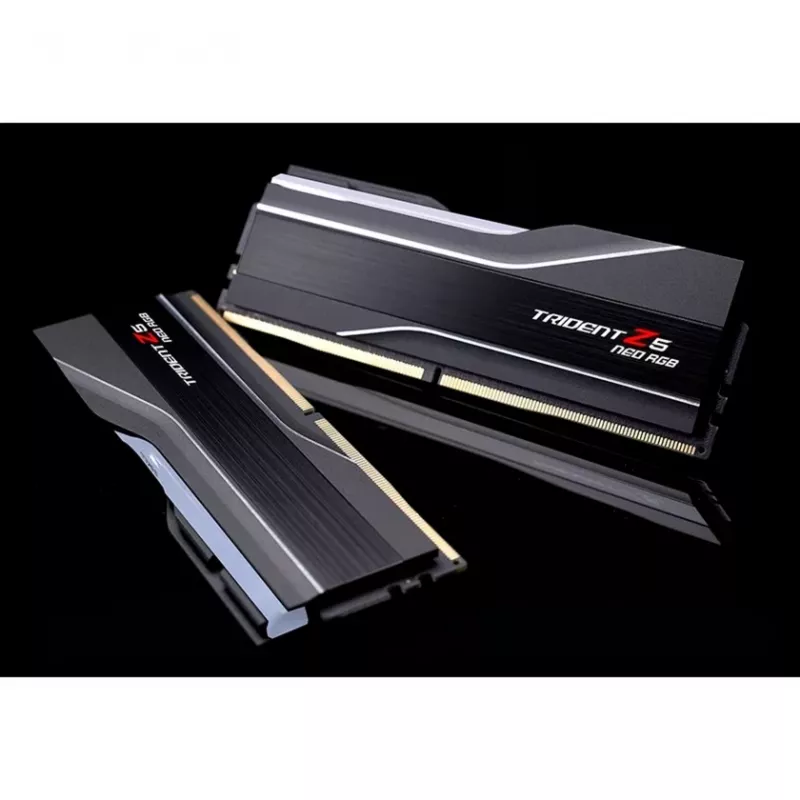 G.skill F5-8000J4048G24GX2-TZ5NR modulo di memoria