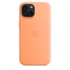 Apple iPhone 15 Custodia in silicone compatibile MagSafe – Orange Sorbet