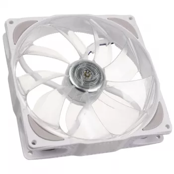 Ventola per case NoiseBlocker NB-eLoop X B14-P ARGB PWM 140mm bianco