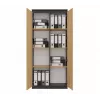 RS-80 HEMN libreria per ufficio, antracite/rovere artisan
