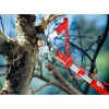 Troncarami WOLF-Garten RC-M
