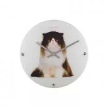 NeXtime orologio 8138 Sylvester, Ø43 cm, da parete, bianco/nero