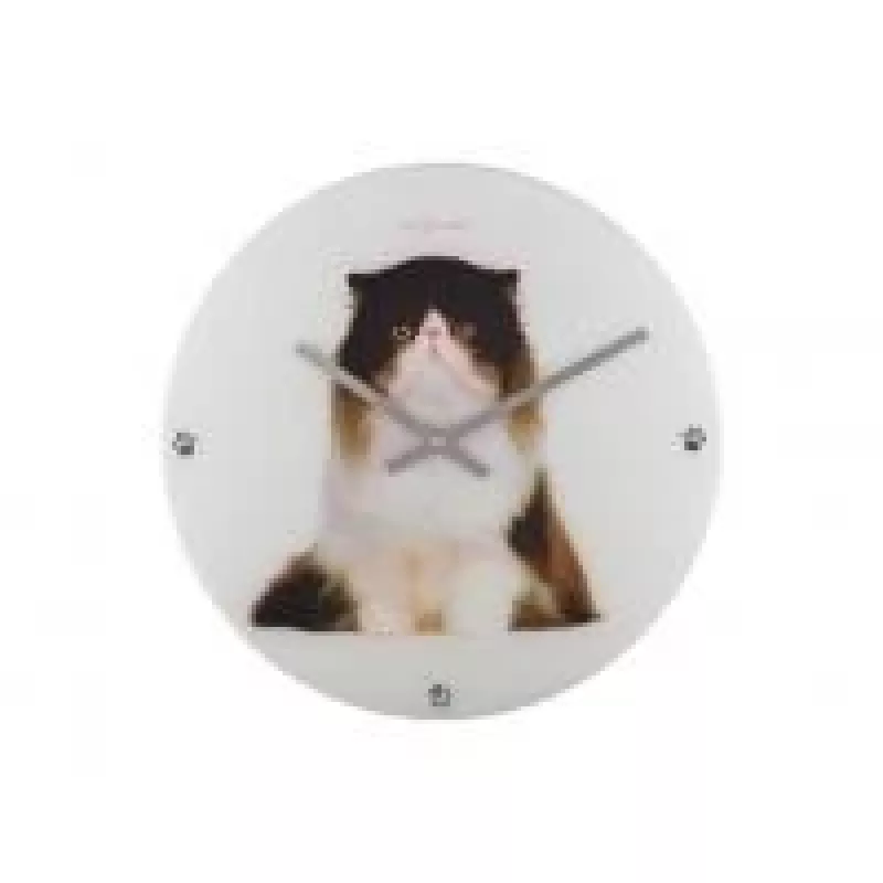 NeXtime orologio 8138 Sylvester, Ø43 cm, da parete, bianco/nero