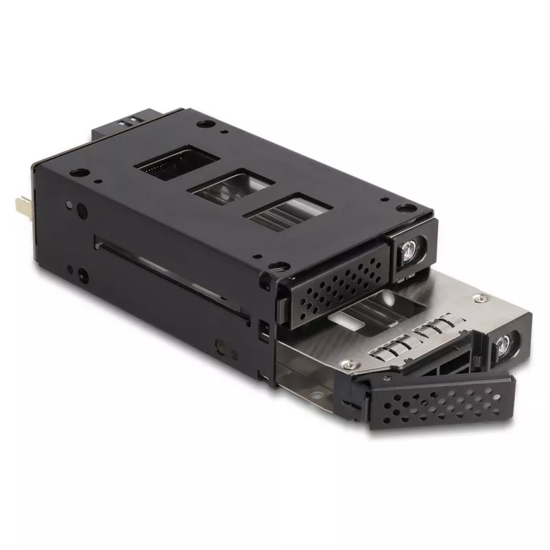 Delock - Rack di memoria mobile - vano sottile - da 5,25 a 2 x 2,5 (da 13,3 cm a 2 x 6,4 cm) - nero (47019)