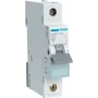 Hager MBN106. Frequenza ingresso CA: 50/60 Hz, corrente nominale in uscita: 6 A (MBN106)