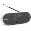 Technisat DigitRadio BT 2 grigio chiaro (0001/3973)