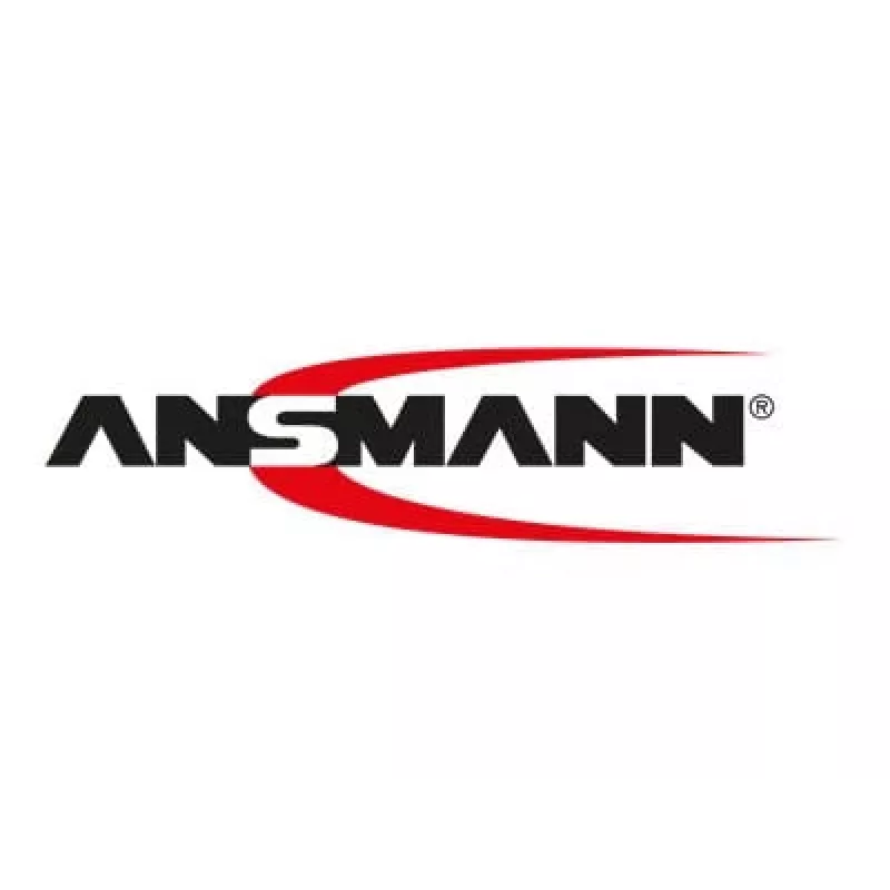 Caricabatterie da interno Ansmann 1001-0013