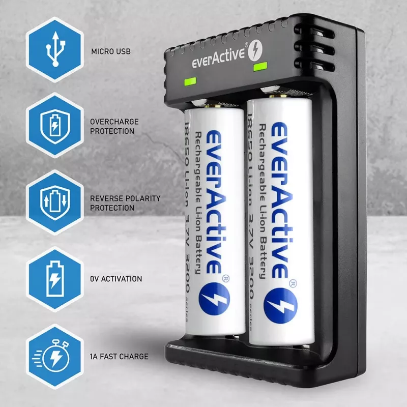 Caricabatterie everActive LC200 domestico USB, 2 vani, Li-Ion, supporta A/AA/AAA/AAAA/C/D, ingresso 5 V, uscita 4,2 V, nero