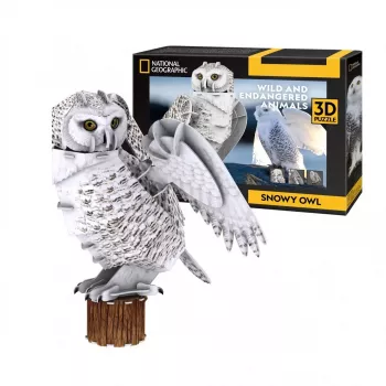 Puzzle 3D CubicFun NG civetta delle nevi 32 pezzi animali da 8 anni