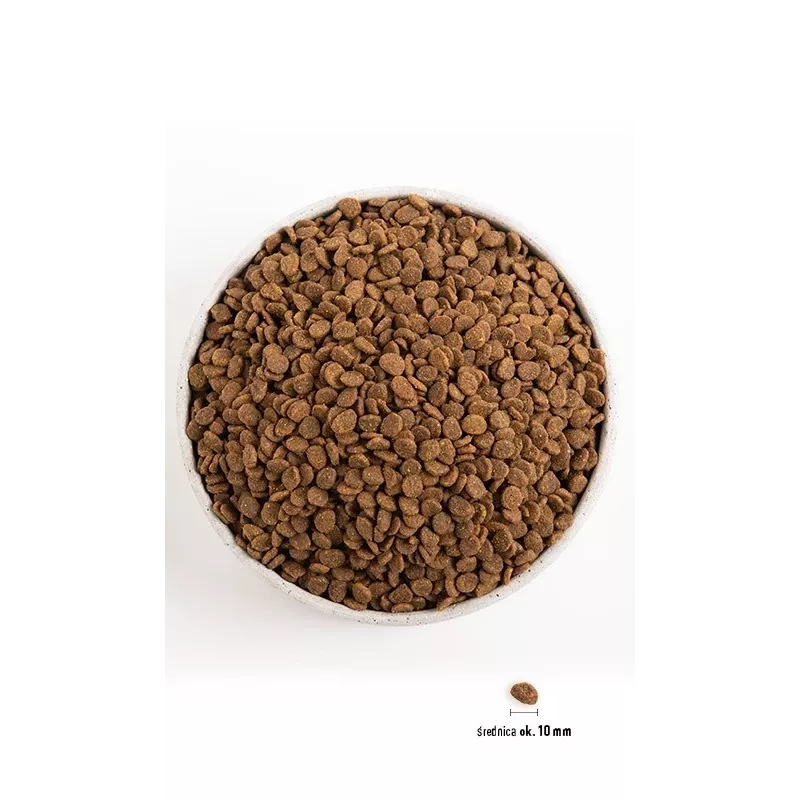 Orijen Kitten crocchette per gattini, 1,8 kg