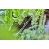Portatubo Gardena 13208-20 nero posizionamento a terra