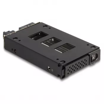 Delock Slim - Alloggiamento mobile per memoria - slim bay (47005)