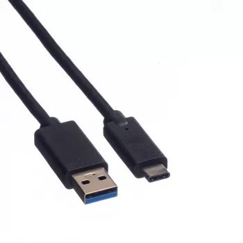 ROLINE - Cavo USB - USB Type-C (M) - USB Type-A 9 pin (M) - 1 m (USB 3.1) - stampato - nero (11.02.9011)