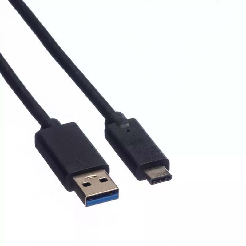 ROLINE - Cavo USB - USB Type-C (M) - USB Type-A 9 pin (M) - 1 m (USB 3.1) - stampato - nero (11.02.9011)