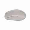Canyon mouse MW-12 dualband wireless beige - mouse - 2.400 dpi (CNS-CMSW12BG)